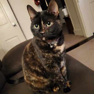 Meet your Posher, Angela